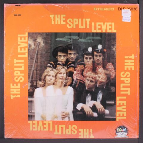 SPLIT LEVEL