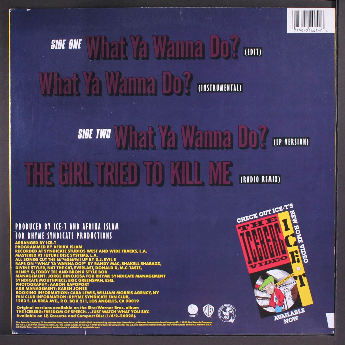 what ya wanna do / the girl tried to kill me by ICE-T