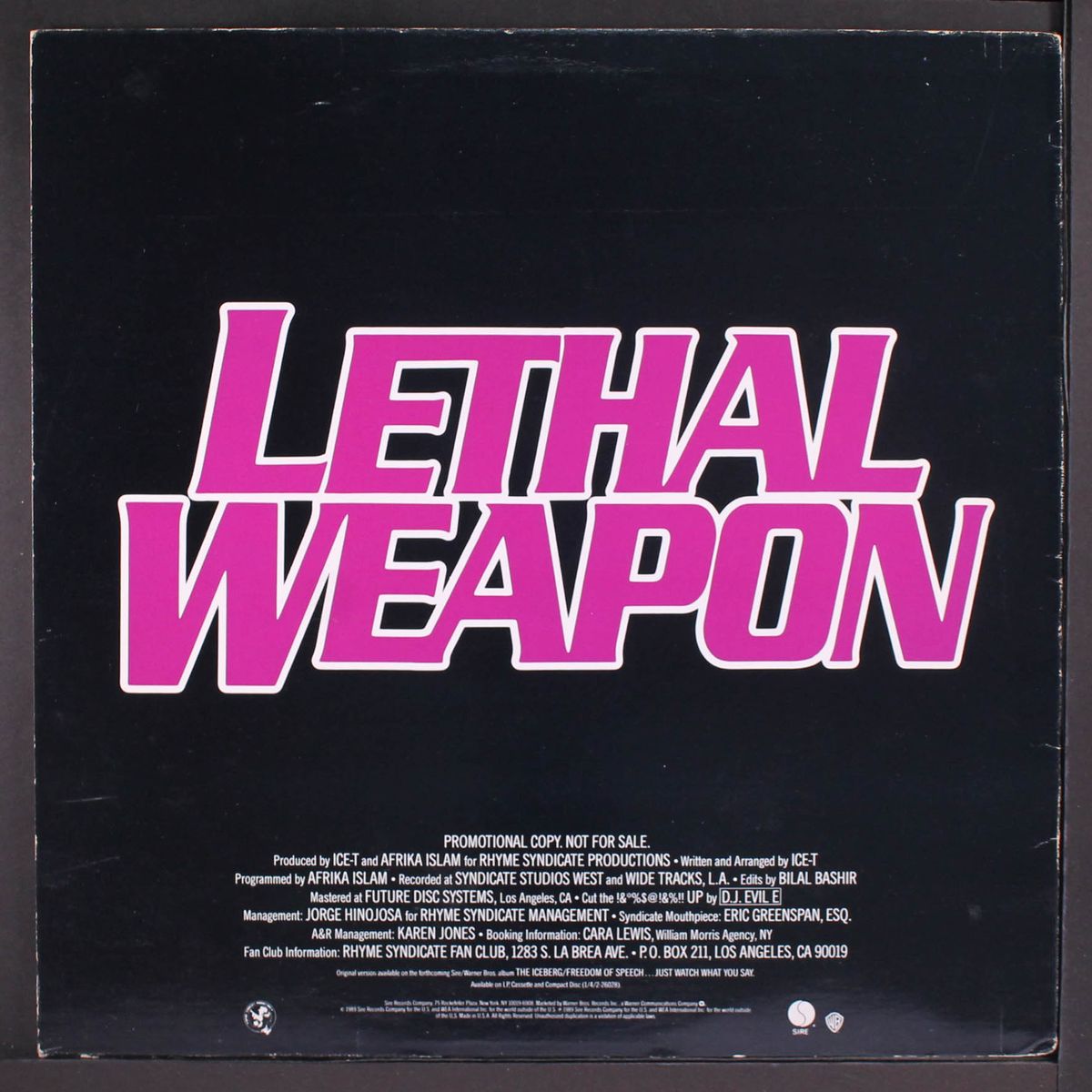 lethal weapon (radio version) by ICE-T