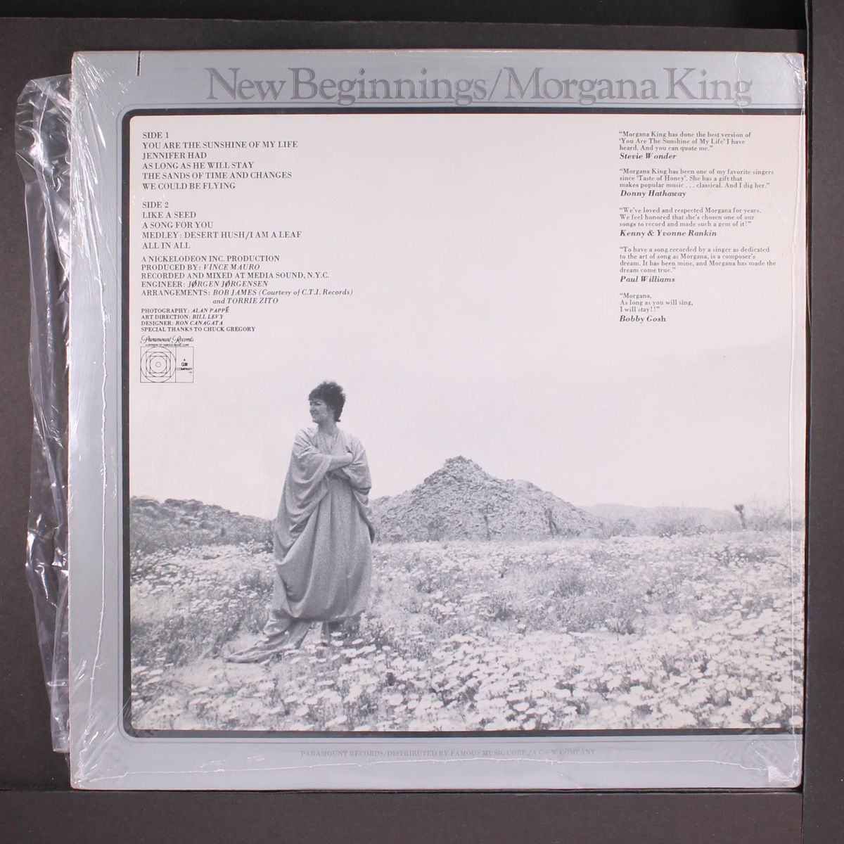 new beginnings... by MORGANA KING