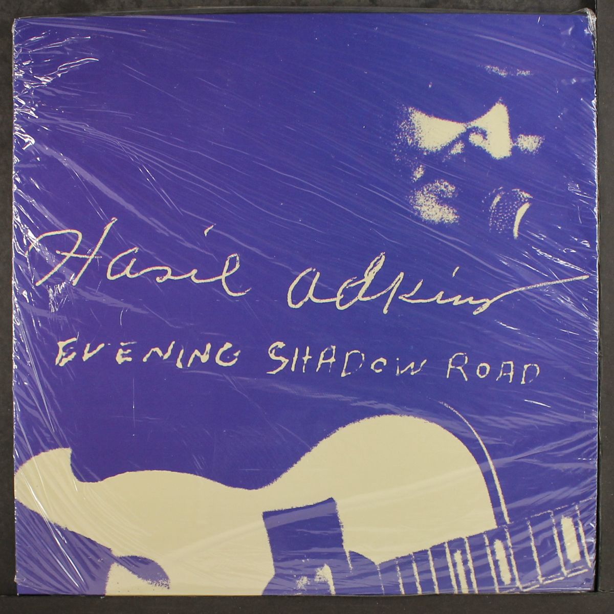 evening shadow road by HASIL ADKINS