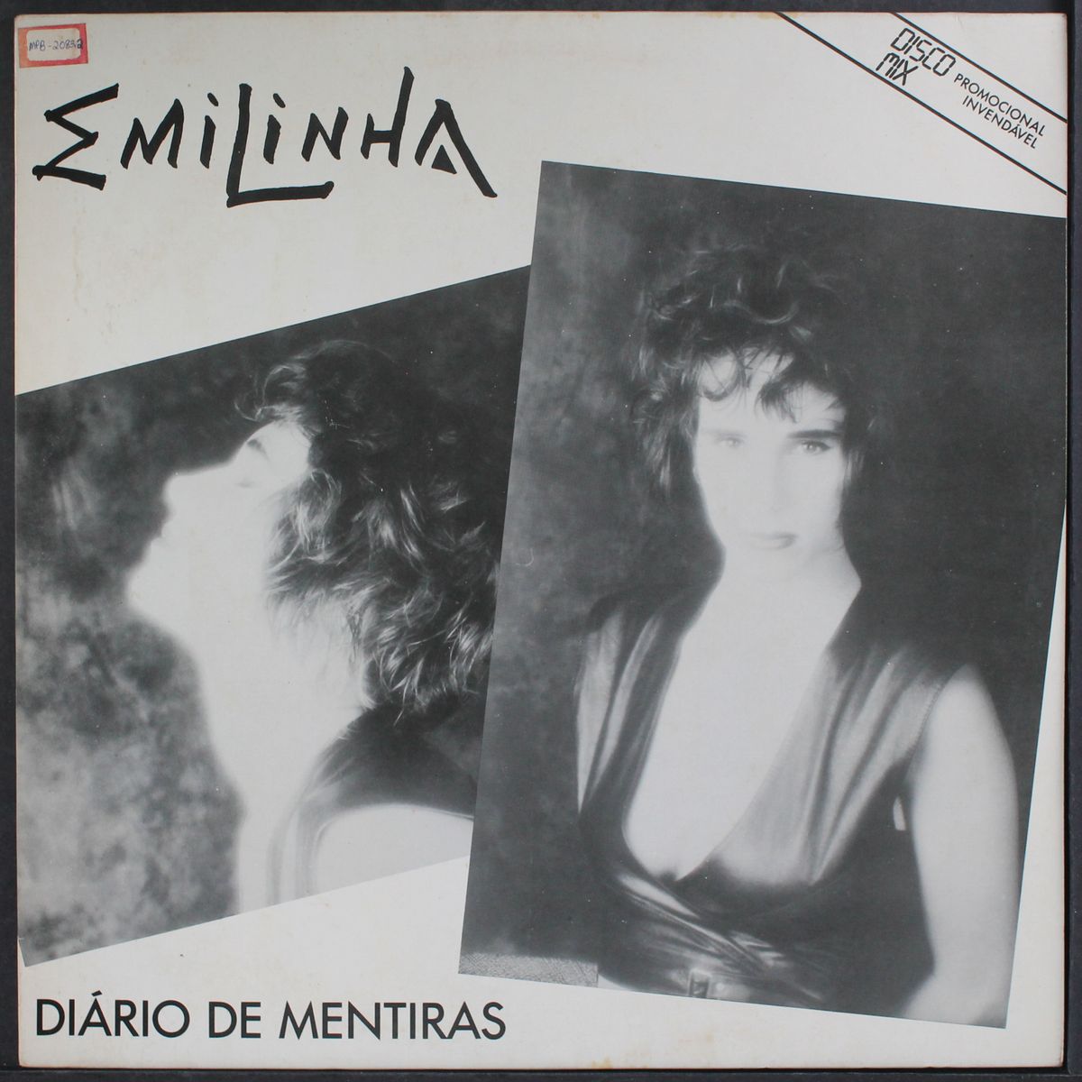 diario de mentiras by EMILINHA
