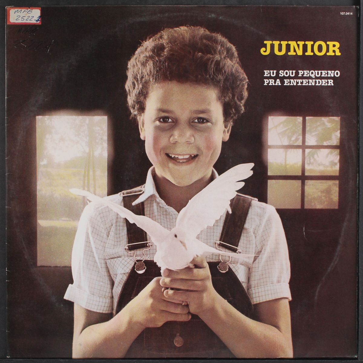 eu sou pequeno pra entender by JUNIOR