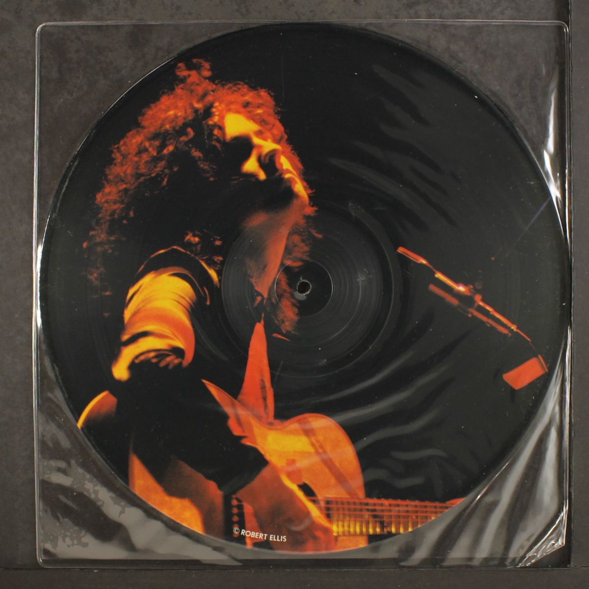 t. rex in concert by MARC BOLAN