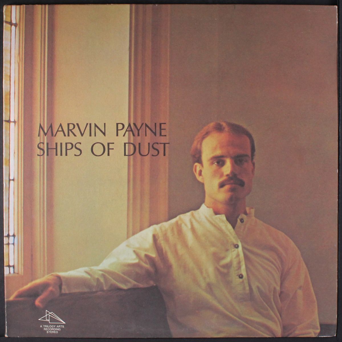 ships of dust by MARVIN PAYNE