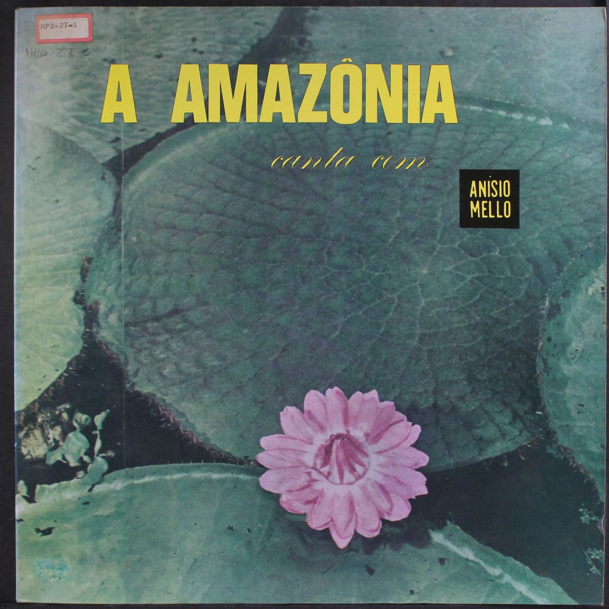 a amazonia by ANISIO MELLO