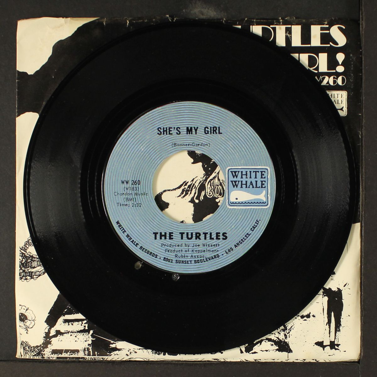she's my girl / chicken little was right by TURTLES