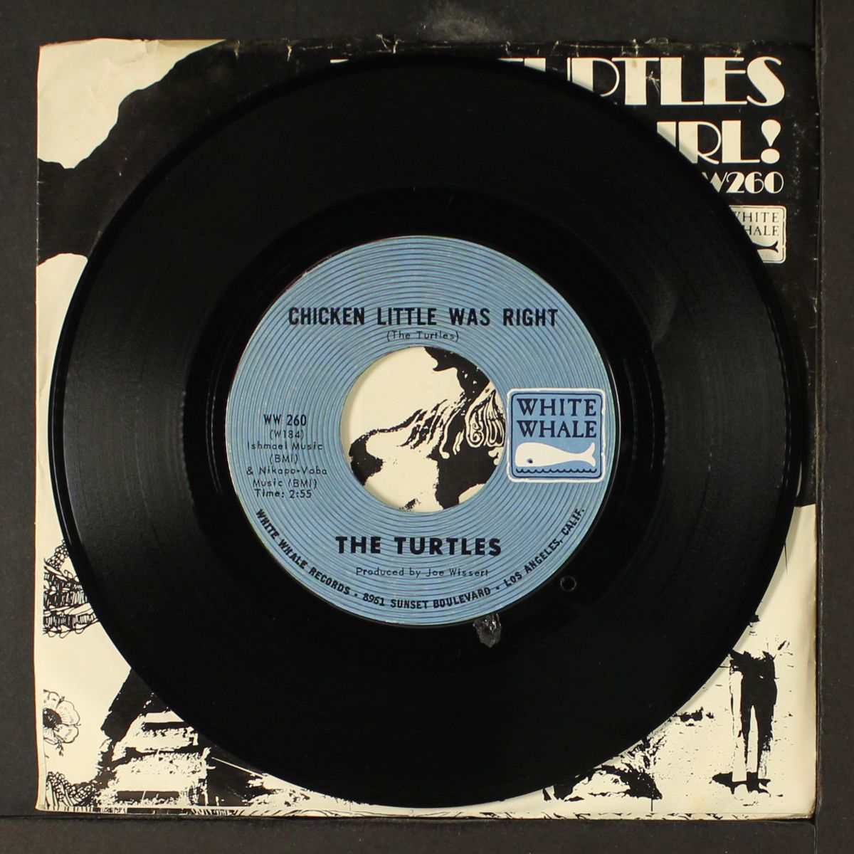 she's my girl / chicken little was right by TURTLES