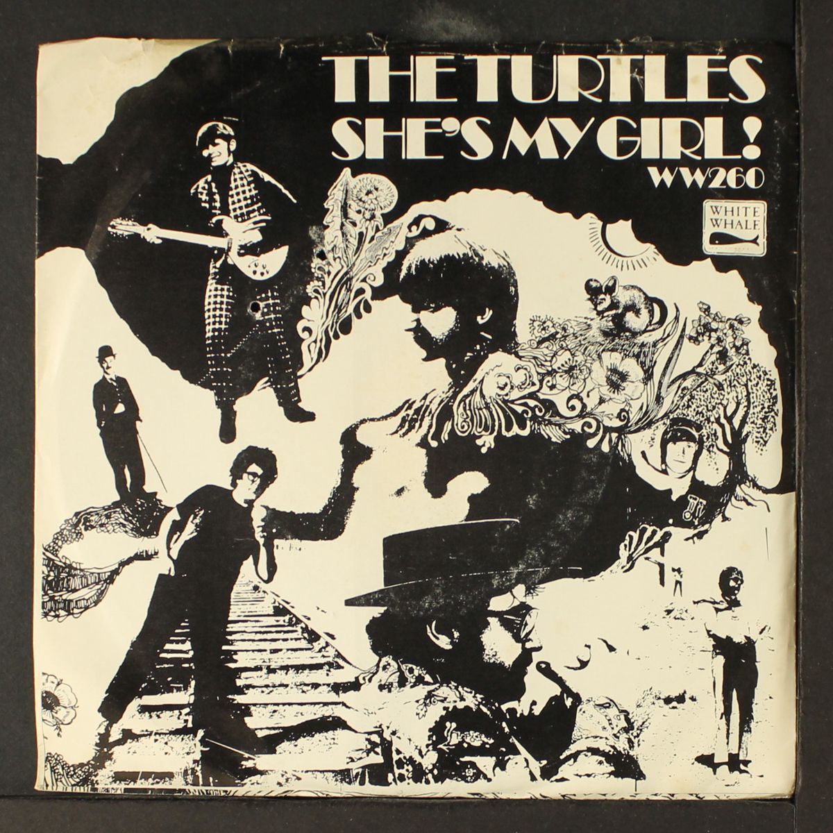 she's my girl / chicken little was right by TURTLES