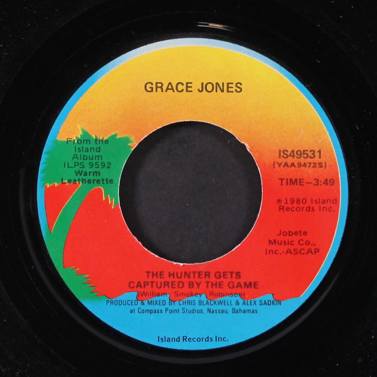 the hunter gets captured by the game / sinning by GRACE JONES