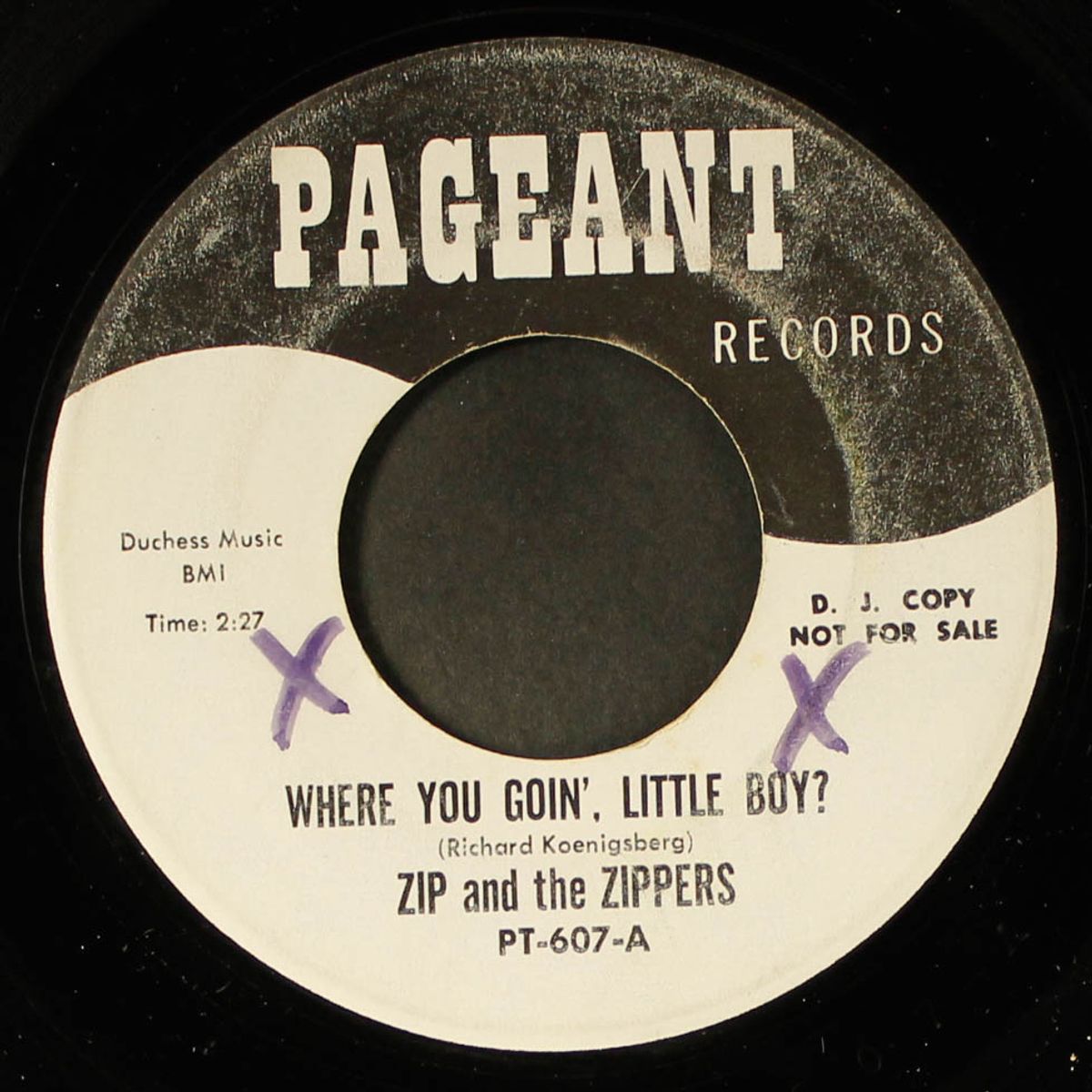 where you goin', little boy? / gig by ZIP & ZIPPERS