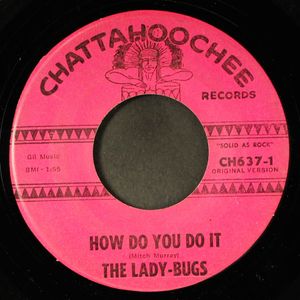LADY-BUGS