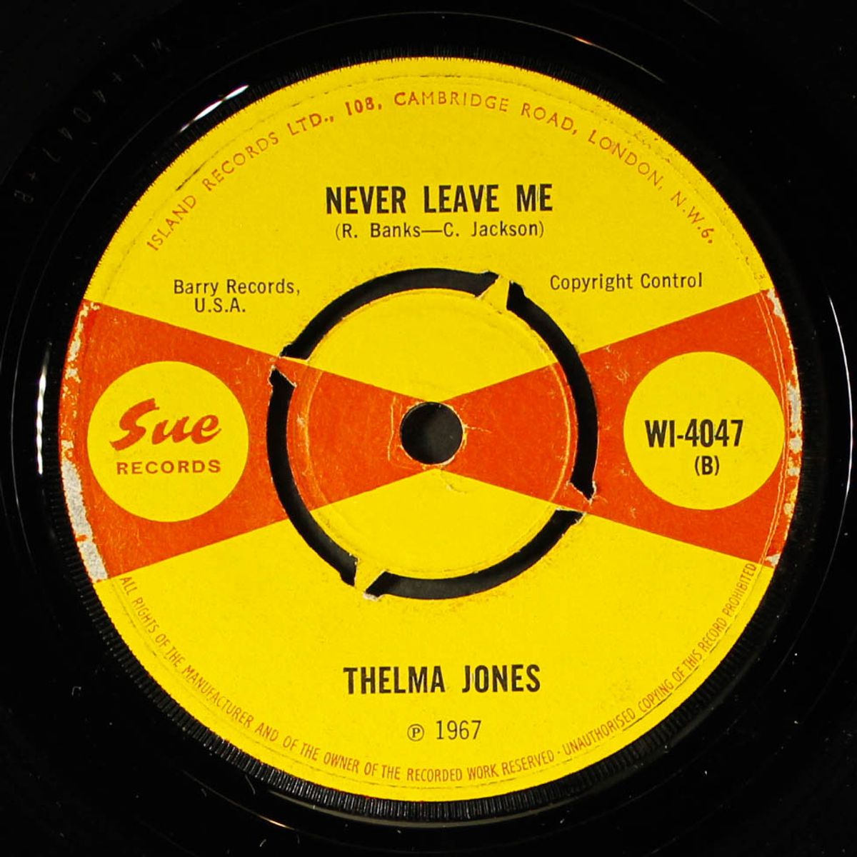stronger / never leave me by THELMA JONES