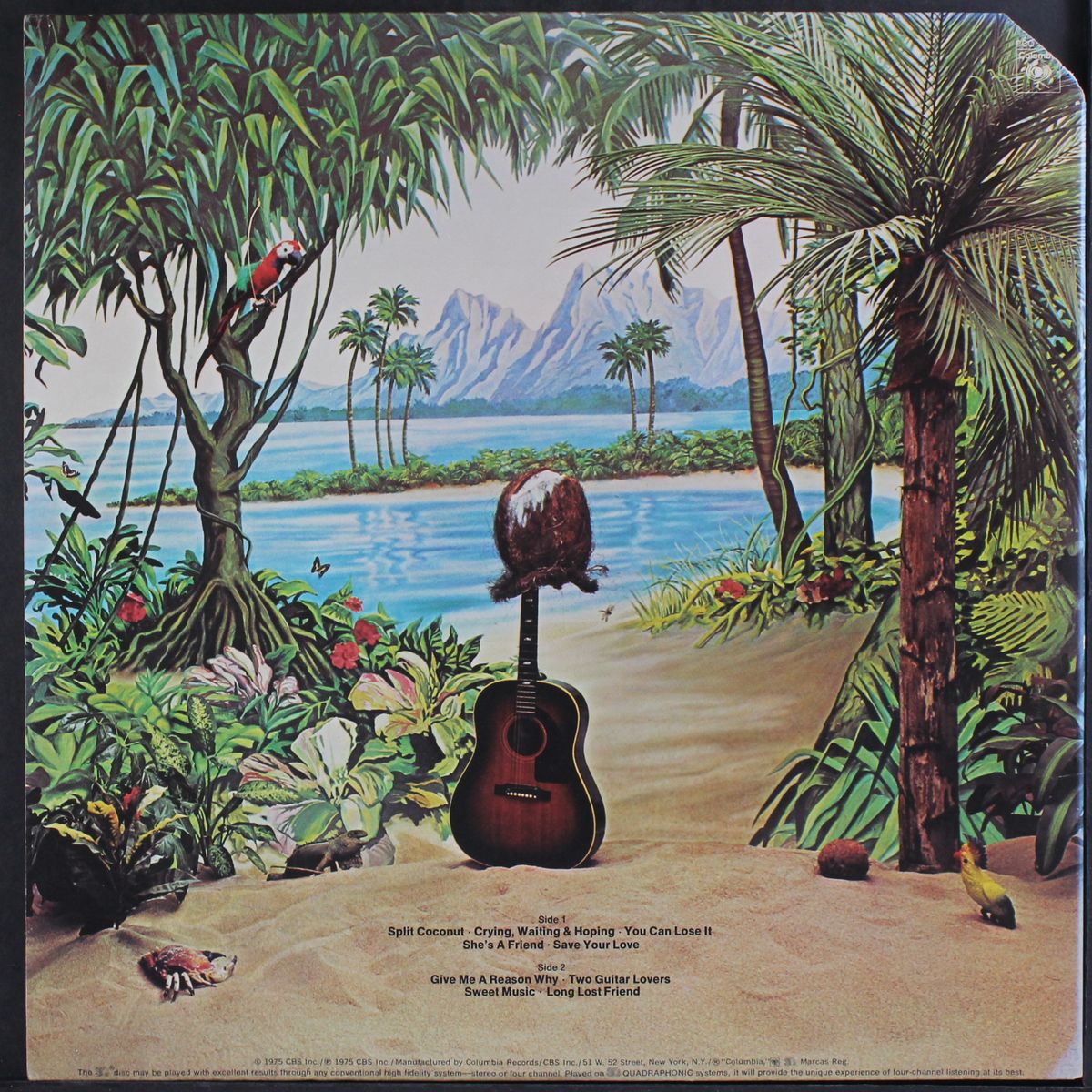 split coconut by DAVE MASON