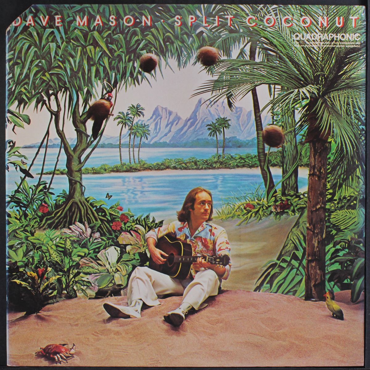 split coconut by DAVE MASON