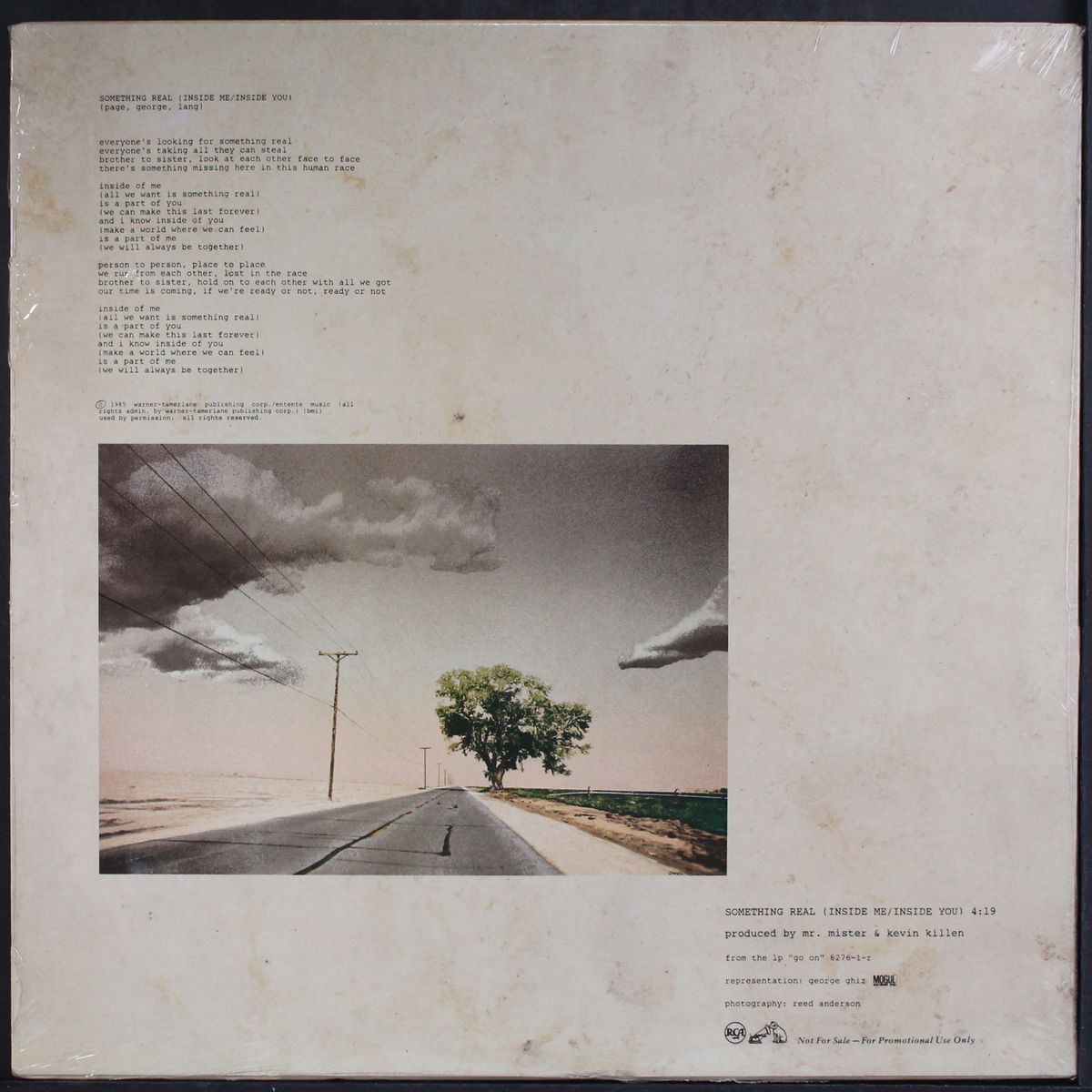 something real by MR. MISTER