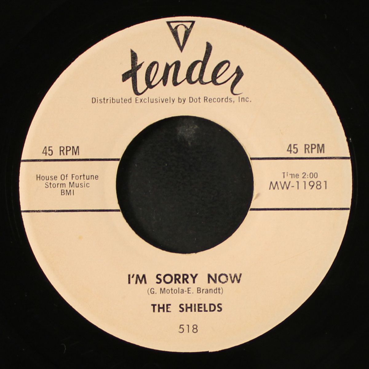i'm sorry now / nature boy by SHIELDS