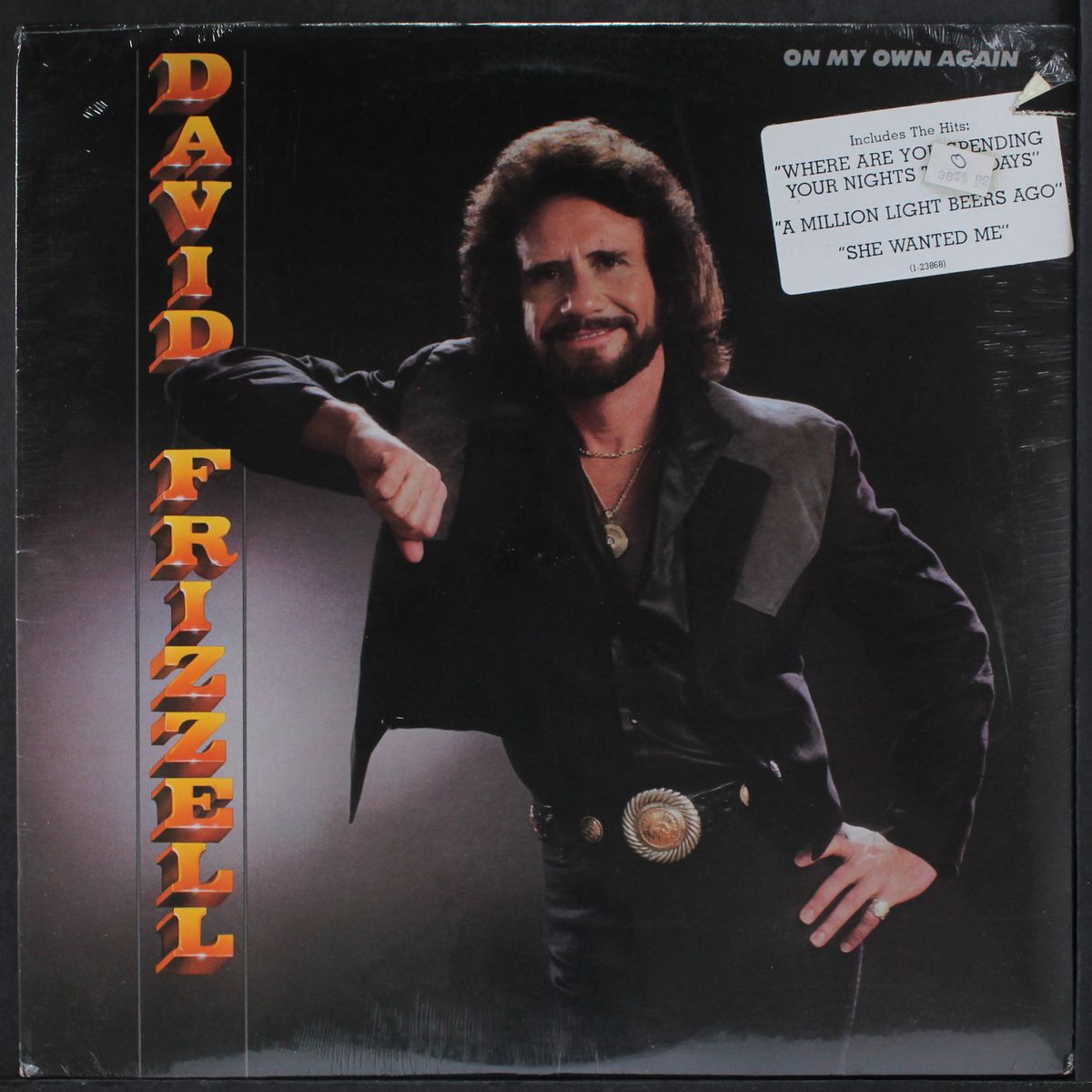 on my own again by DAVID FRIZZELL