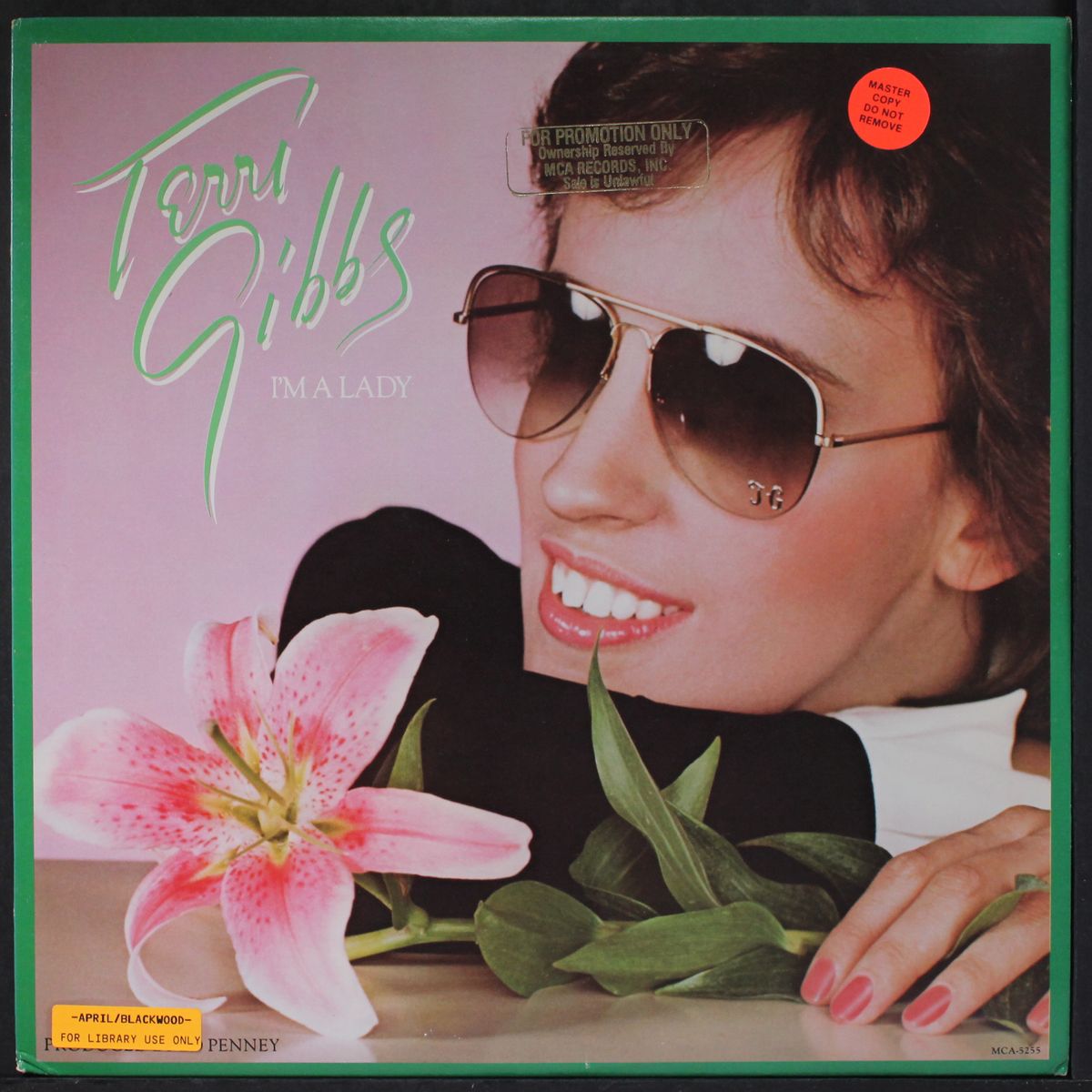 i'm a lady by TERRI GIBBS
