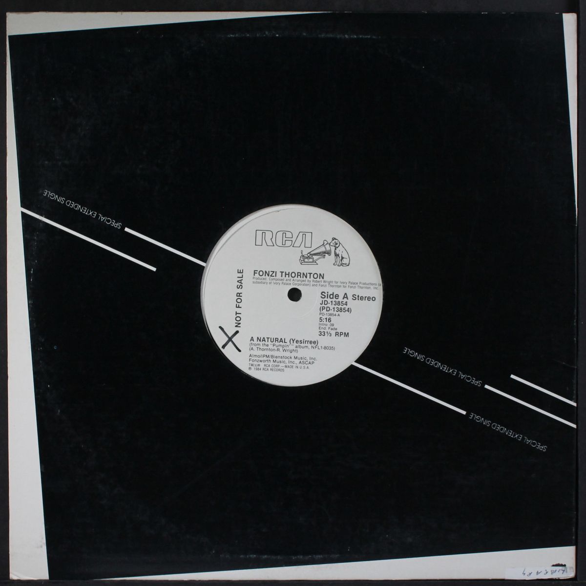 a natural / dub by FONZI THORNTON