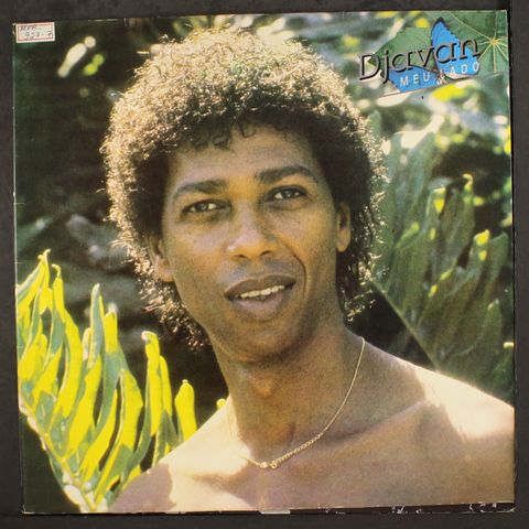 DJAVAN