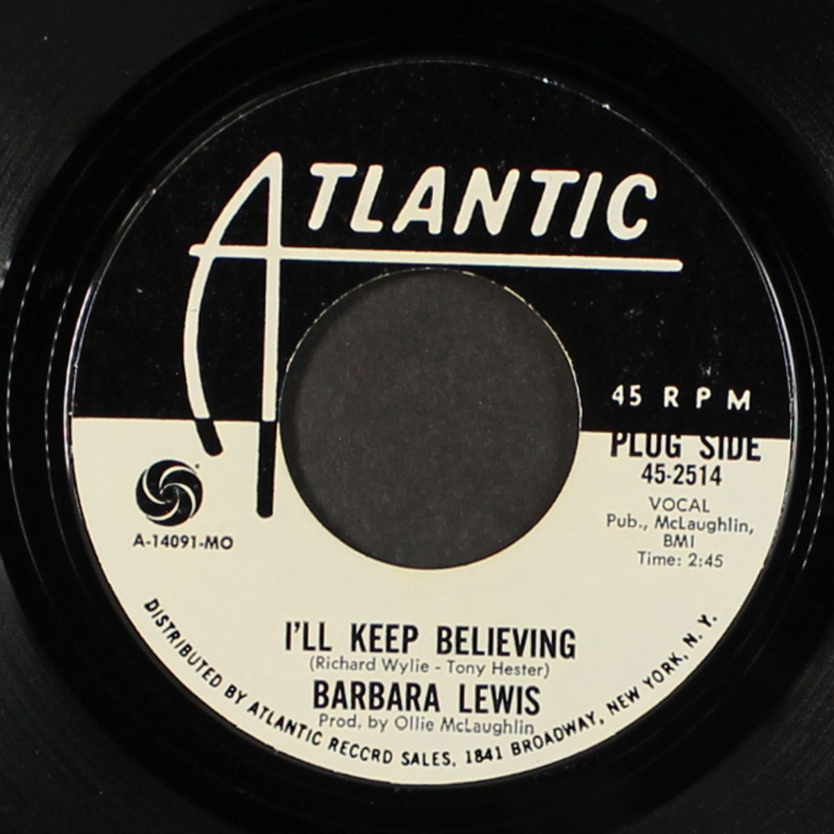 i'll keep believing by BARBARA LEWIS