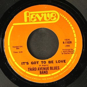 THIRD AVENUE BLUES BAND