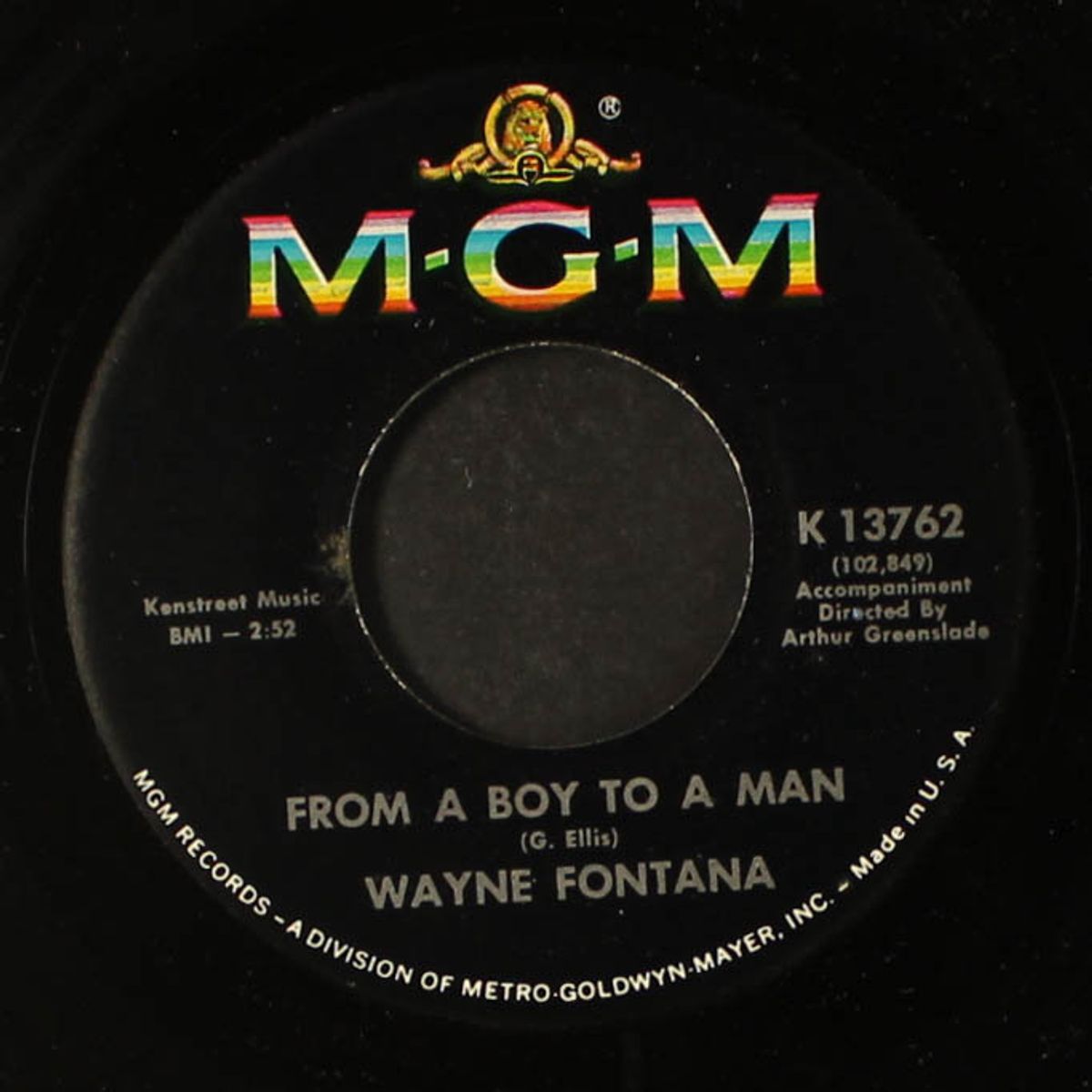 24 sycamore / from a boy to a man by WAYNE FONTANA