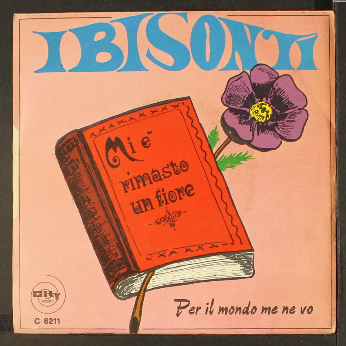 mi e' rimasto un fiore / per il mondo me ne vo by BRUNO CASTIGLIA & I BISONTI