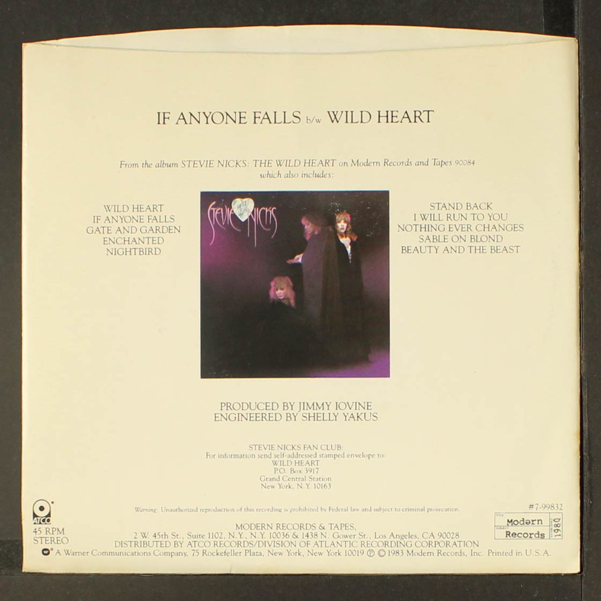 if anyone falls / wild heart by STEVIE NICKS