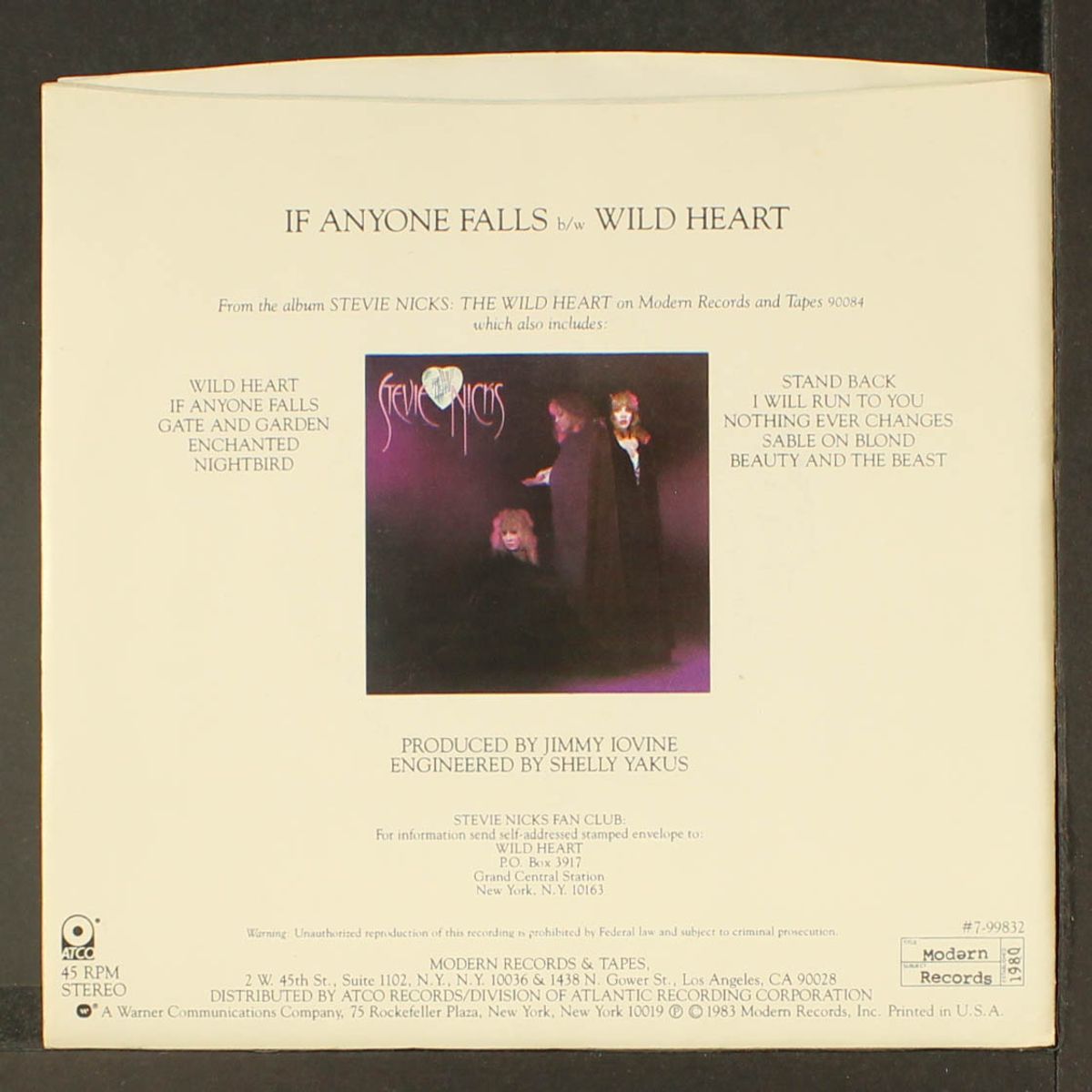 if anyone falls by STEVIE NICKS