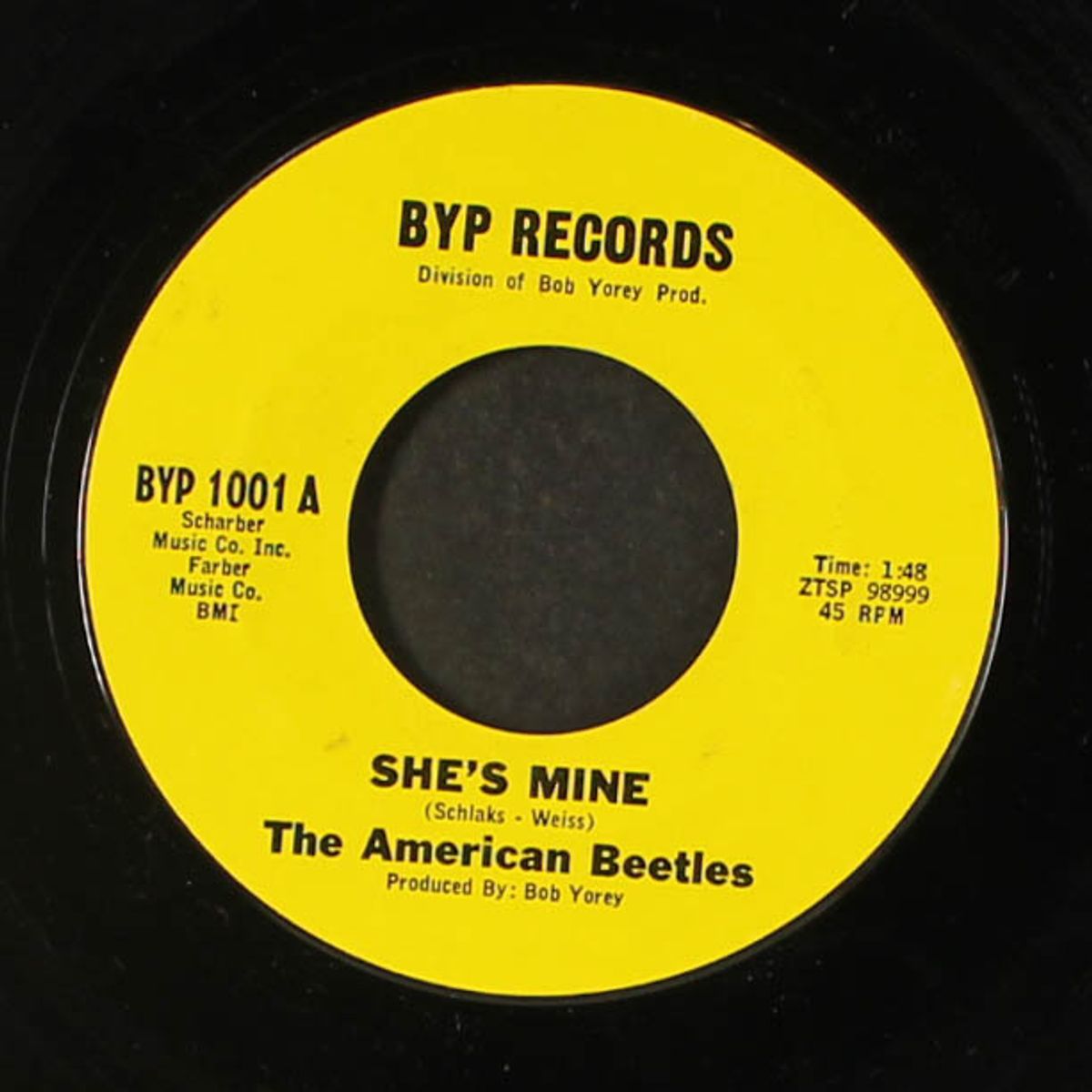 she's mine by AMERICAN BEETLES