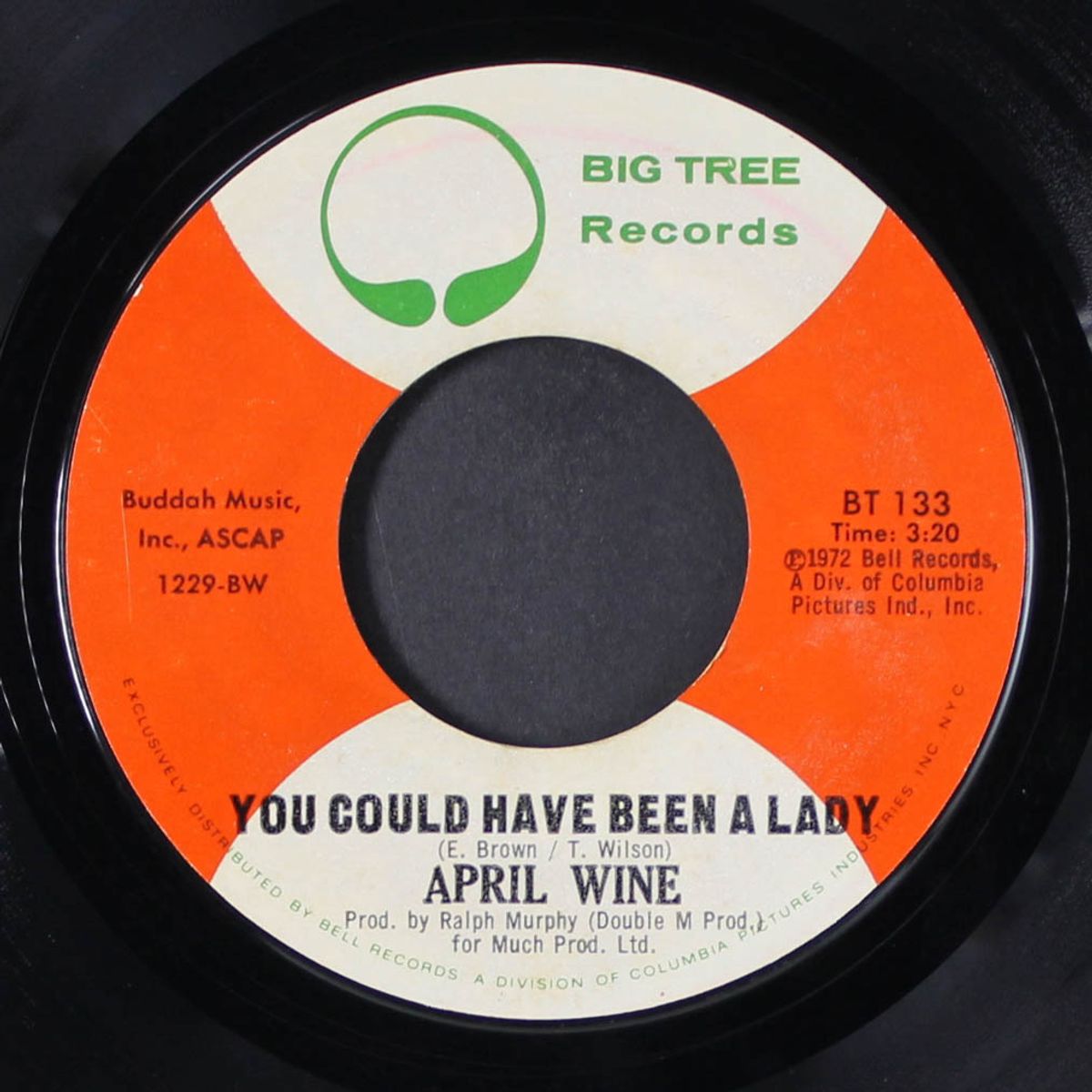 teacher / you could have been a lady by APRIL WINE