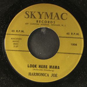 HARMONICA JOE