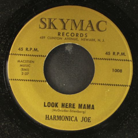 HARMONICA JOE