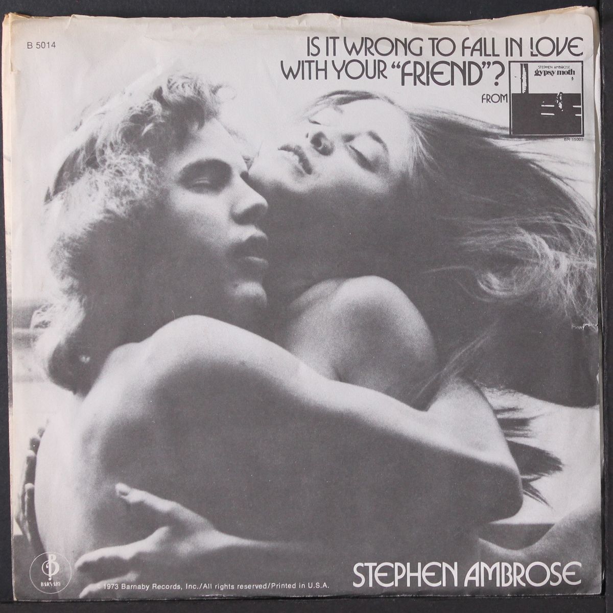 friend by STEPHEN AMBROSE