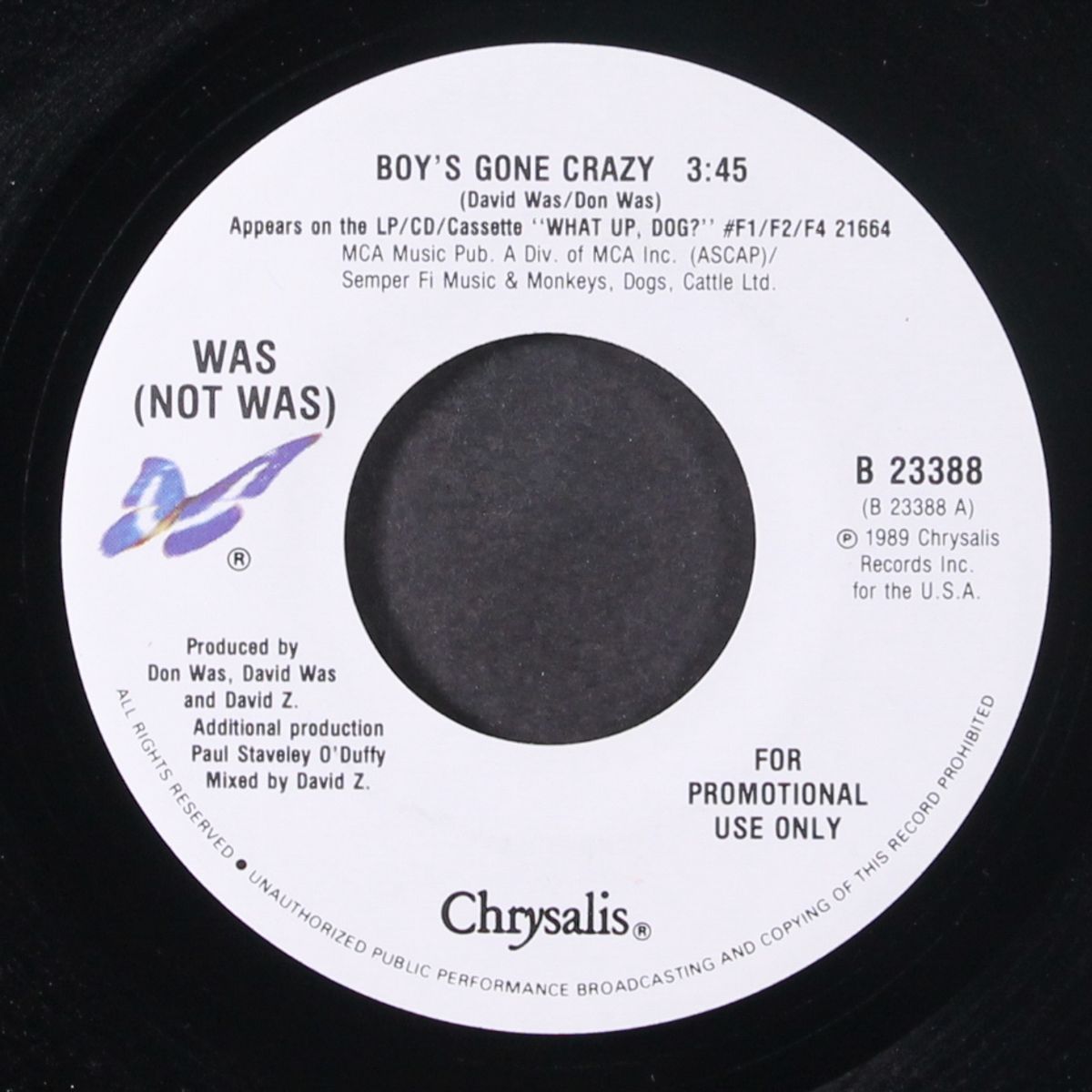 boy's gone crazy / same by WAS (NOT WAS)