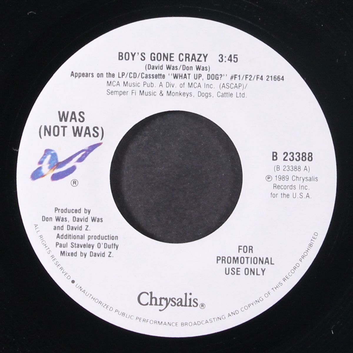 boy's gone crazy / same by WAS (NOT WAS)