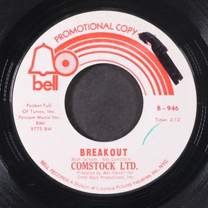 COMSTOCK LTD.