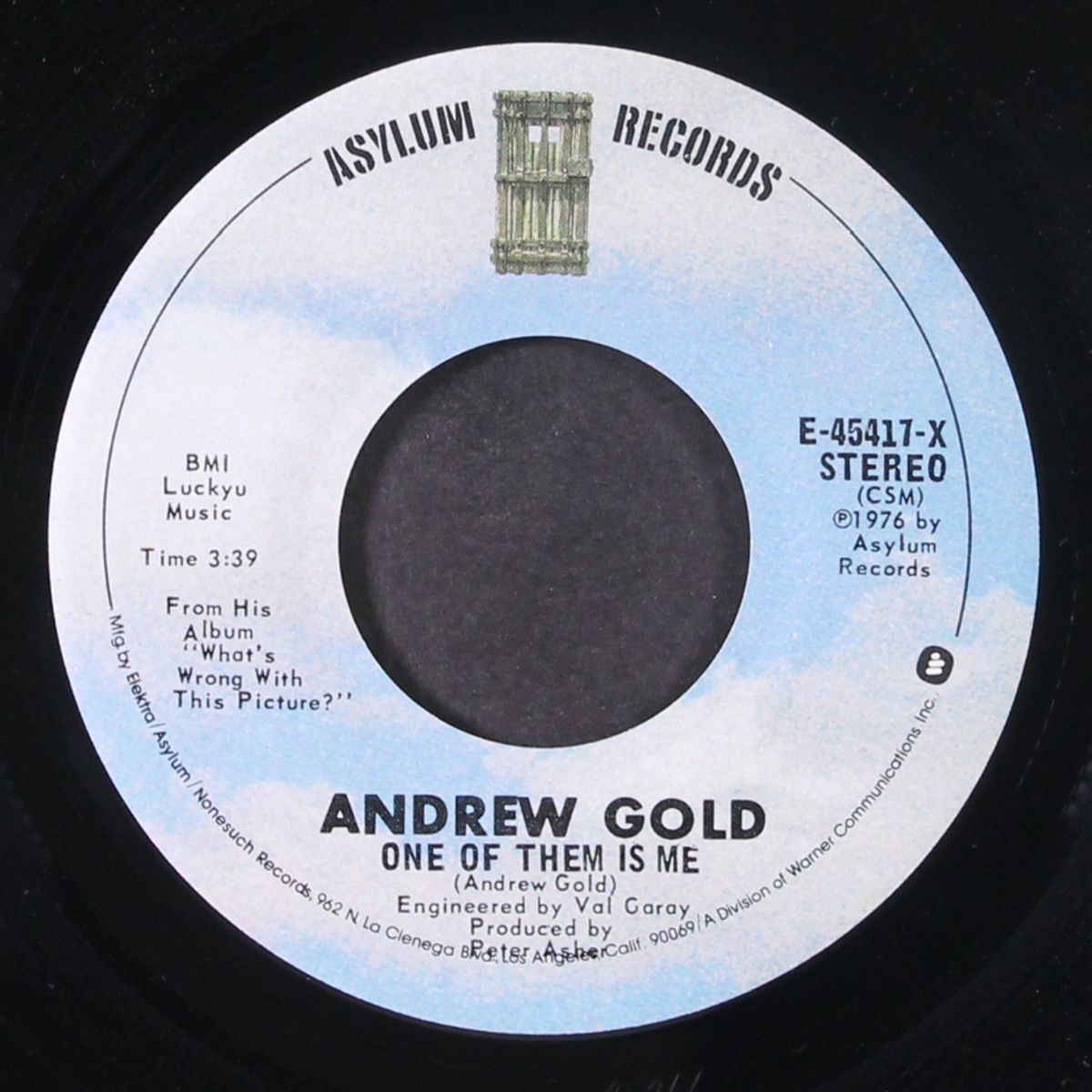 one of them is me / passing thing by ANDREW GOLD