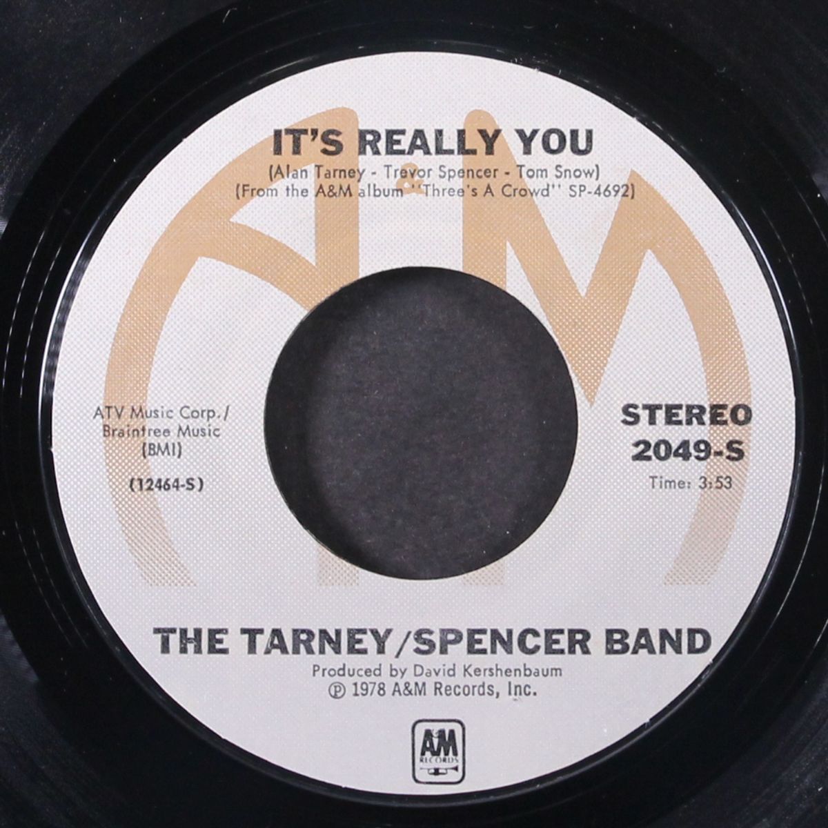 it's really you / set the minstrel free by TARNEY/SPENCER BAND