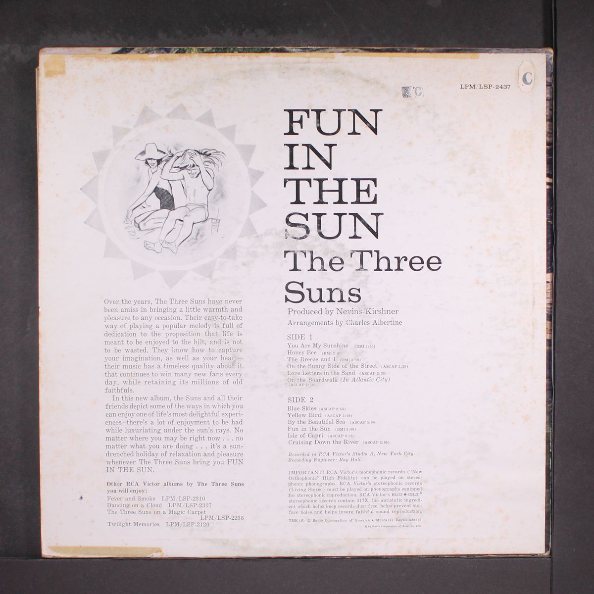 fun in the sun by THREE SUNS
