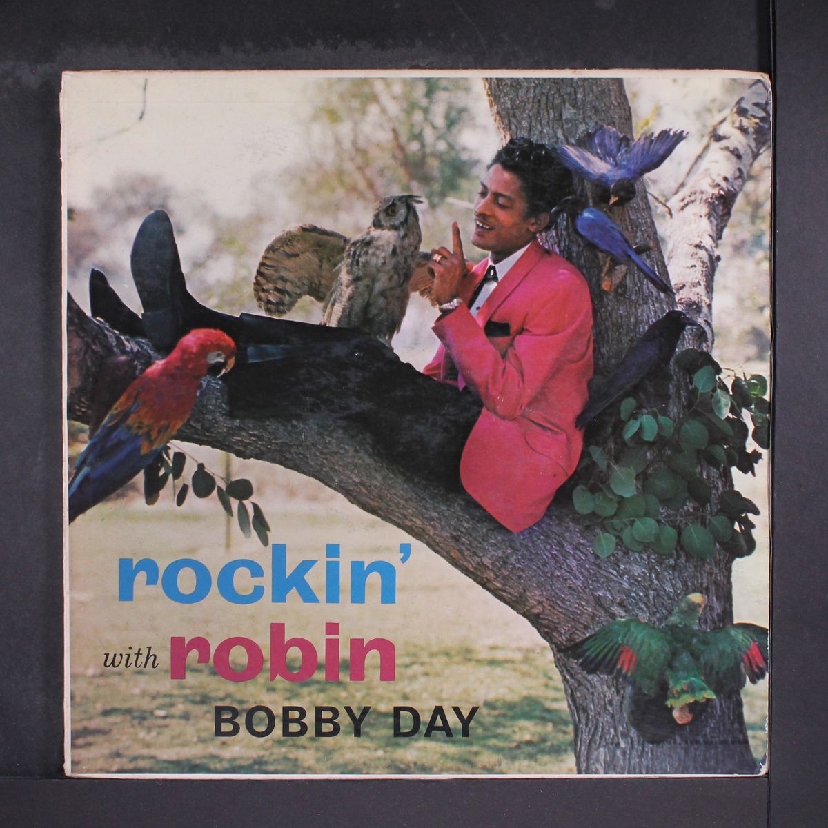 rockin' with robin by BOBBY DAY