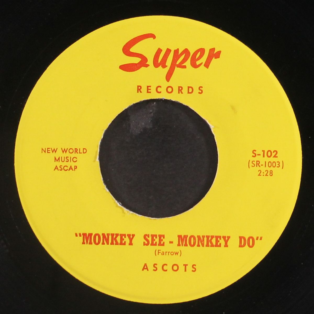 monkey see monkey do / you can't do that by ASCOTS