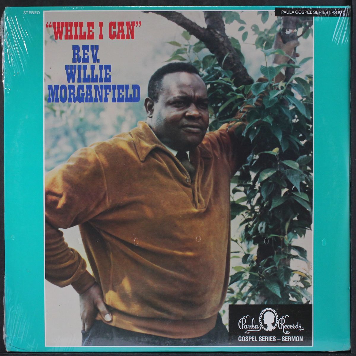 while i can by REV. WILLIE MORGANFIELD