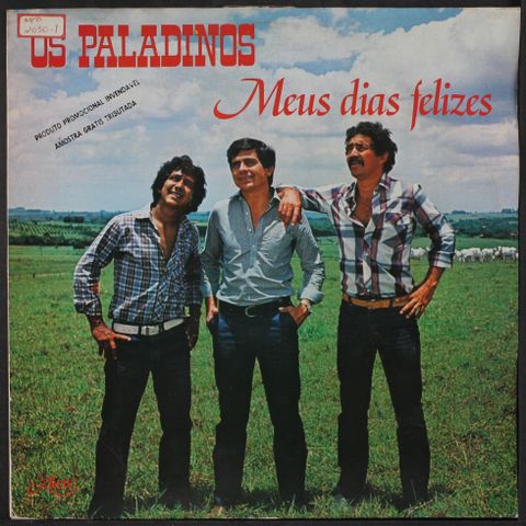 OS PALADINOS