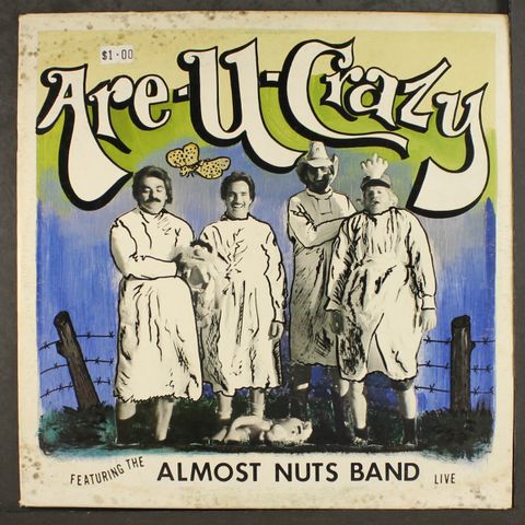 ALMOST NUTS BAND