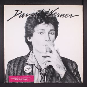 DAVE WERNER