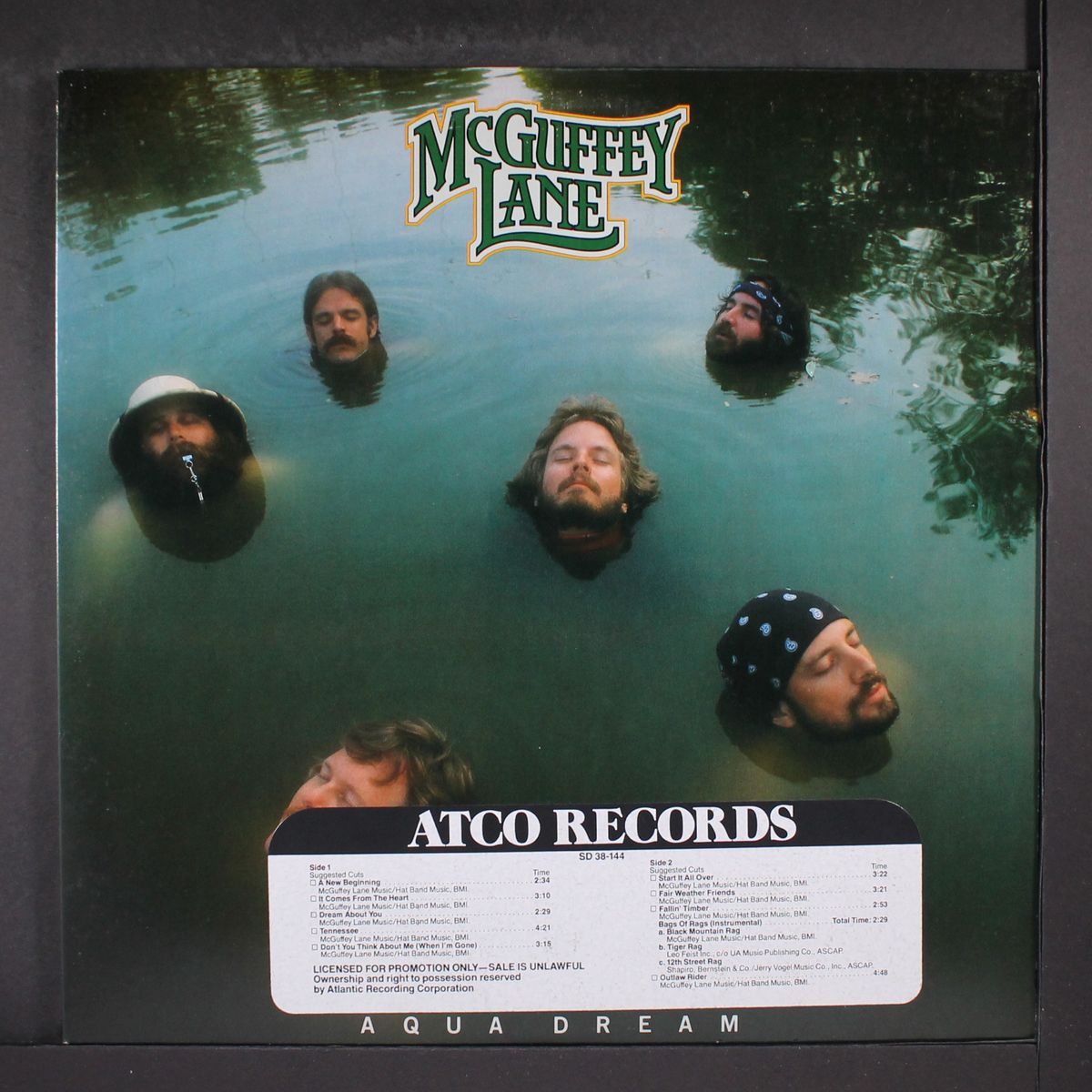 aqua dream by MCGUFFEY LANE