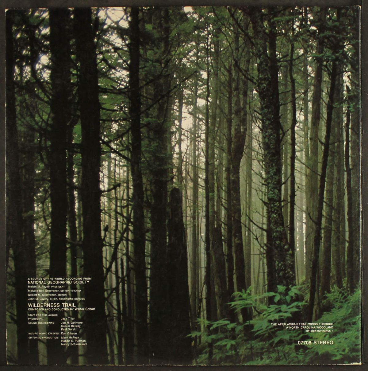 wilderness trail by WALTER SCHARF